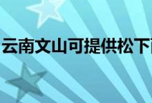 云南文山可提供松下面包機(jī)維修服務(wù)地址在哪