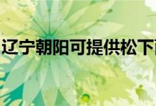 遼寧朝陽可提供松下面包機(jī)維修服務(wù)地址在哪