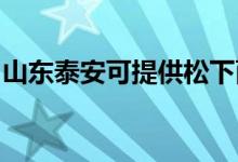 山東泰安可提供松下面包機(jī)維修服務(wù)地址在哪