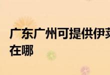 廣東廣州可提供伊萊克斯面包機(jī)維修服務(wù)地址在哪