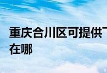 重慶合川區(qū)可提供飛利浦面包機(jī)維修服務(wù)地址在哪