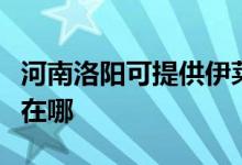 河南洛陽可提供伊萊克斯面包機(jī)維修服務(wù)地址在哪