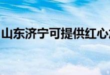 山東濟(jì)寧可提供紅心加濕器維修服務(wù)地址在哪