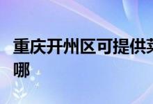 重慶開(kāi)州區(qū)可提供萊克加濕器維修服務(wù)地址在哪