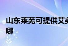 山東萊蕪可提供艾美特加濕器維修服務地址在哪