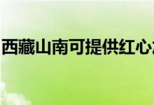 西藏山南可提供紅心加濕器維修服務地址在哪