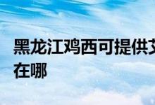 黑龍江雞西可提供艾美特加濕器維修服務地址在哪