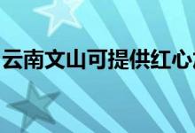 云南文山可提供紅心加濕器維修服務地址在哪
