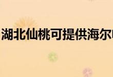 湖北仙桃可提供海爾電風扇維修服務(wù)地址在哪