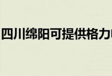四川綿陽(yáng)可提供格力電暖器維修服務(wù)地址在哪