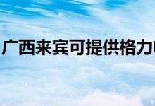 廣西來(lái)賓可提供格力電暖器維修服務(wù)地址在哪