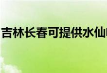吉林長春可提供水仙電風(fēng)扇維修服務(wù)地址在哪