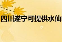 四川遂寧可提供水仙電風(fēng)扇維修服務(wù)地址在哪