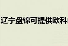 遼寧盤錦可提供歐科電風(fēng)扇維修服務(wù)地址在哪