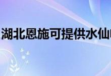湖北恩施可提供水仙電風(fēng)扇維修服務(wù)地址在哪