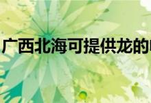 廣西北?？商峁埖碾婏L(fēng)扇維修服務(wù)地址在哪