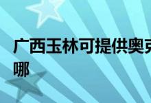 廣西玉林可提供奧克斯電暖器維修服務地址在哪