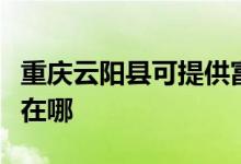 重慶云陽縣可提供富士寶電暖器維修服務(wù)地址在哪