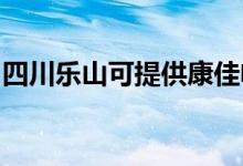 四川樂(lè)山可提供康佳電暖器維修服務(wù)地址在哪
