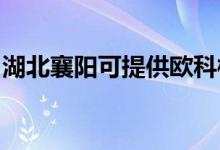 湖北襄陽(yáng)可提供歐科榨汁機(jī)維修服務(wù)地址在哪