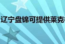 遼寧盤錦可提供萊克榨汁機維修服務地址在哪