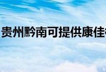 貴州黔南可提供康佳榨汁機維修服務地址在哪