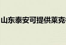 山東泰安可提供萊克榨汁機維修服務地址在哪