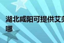 湖北咸陽可提供艾美特榨汁機(jī)維修服務(wù)地址在哪