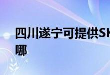 四川遂寧可提供SKG榨汁機維修服務地址在哪