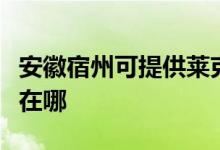 安徽宿州可提供萊克空氣凈化器維修服務地址在哪