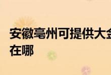 安徽亳州可提供大金空氣凈化器維修服務(wù)地址在哪