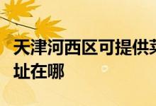天津河西區(qū)可提供萊克空氣凈化器維修服務地址在哪