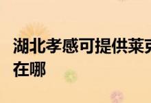 湖北孝感可提供萊克空氣凈化器維修服務地址在哪