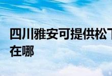 四川雅安可提供松下空氣凈化器維修服務(wù)地址在哪