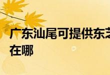 廣東汕尾可提供東芝空氣凈化器維修服務地址在哪