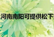 河南南陽可提供松下投影機(jī)維修服務(wù)地址在哪