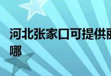 河北張家口可提供麗訊投影機維修服務地址在哪