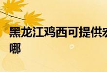 黑龍江雞西可提供宏碁投影機(jī)維修服務(wù)地址在哪