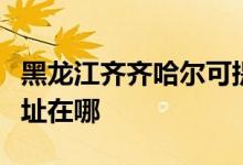 黑龍江齊齊哈爾可提供理光投影機維修服務地址在哪