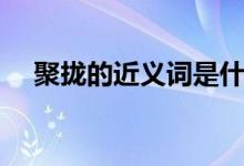 聚攏的近義詞是什么(聚攏的近義詞語)