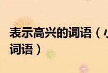 表示高興的詞語(小學語文知識:描寫高興的詞語)
