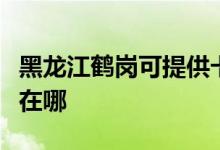 黑龍江鶴崗可提供卡西歐投影機維修服務(wù)地址在哪
