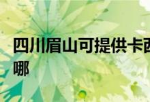 四川眉山可提供卡西歐投影機維修服務(wù)地址在哪