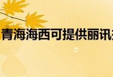 青海海西可提供麗訊投影機維修服務地址在哪