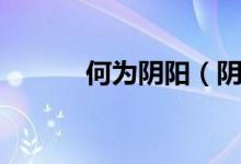 何為陰陽(yáng)（陰陽(yáng)到底為何物？）