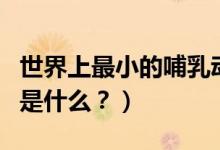 世界上最小的哺乳動物（世界最小的哺乳動物是什么？）