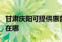 甘肅慶陽可提供惠普激光打印機維修服務地址在哪
