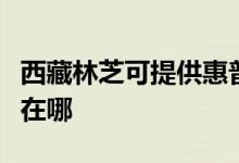 西藏林芝可提供惠普激光打印機維修服務地址在哪