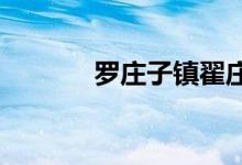 羅莊子鎮(zhèn)翟莊小學的地址在哪
