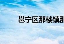 邕寧區(qū)那樓鎮(zhèn)那務小學的地址在哪
